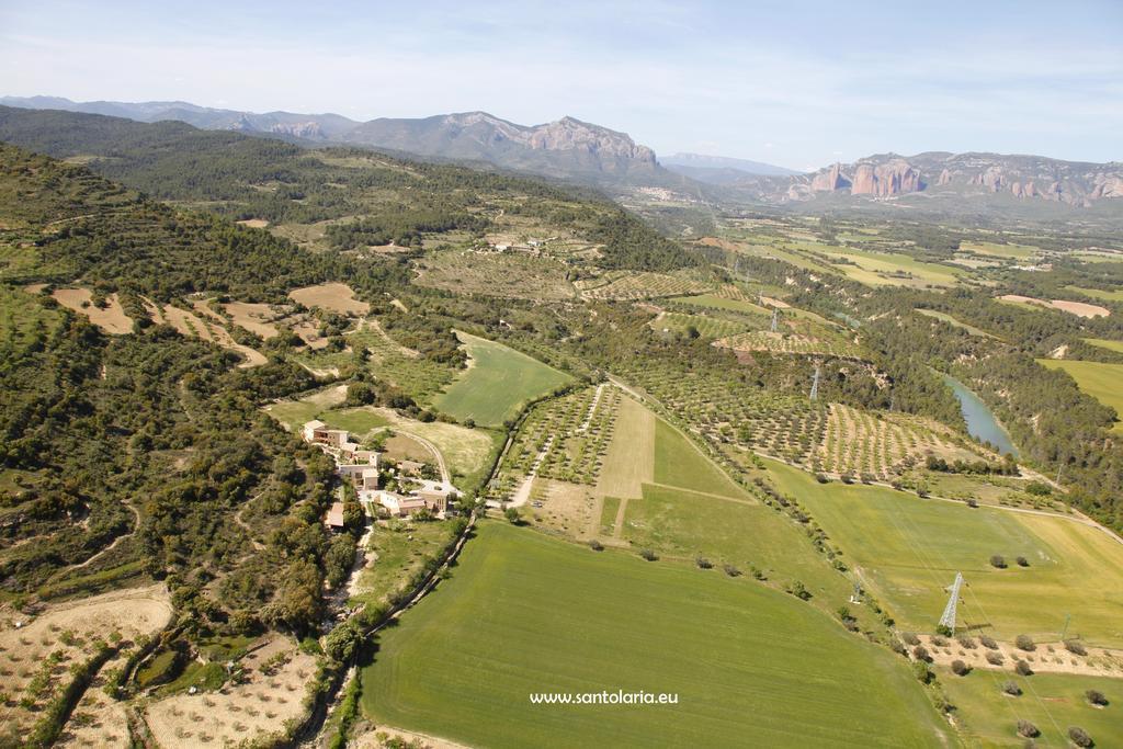 Alen D'aragon