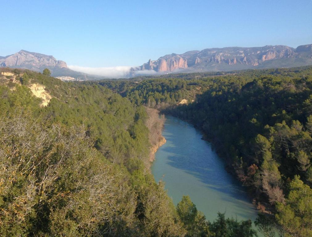 Alen D'aragon *